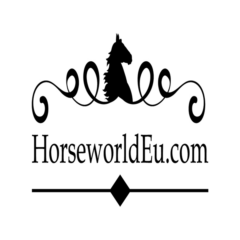 Horseworld-1-e1675414539646